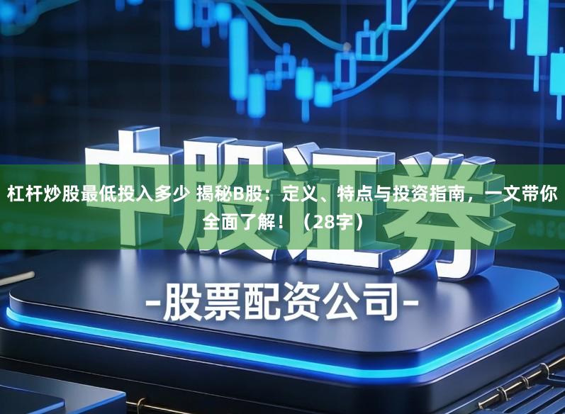 杠杆炒股最低投入多少 揭秘B股：定义、特点与投资指南，一文带你全面了解！（28字）
