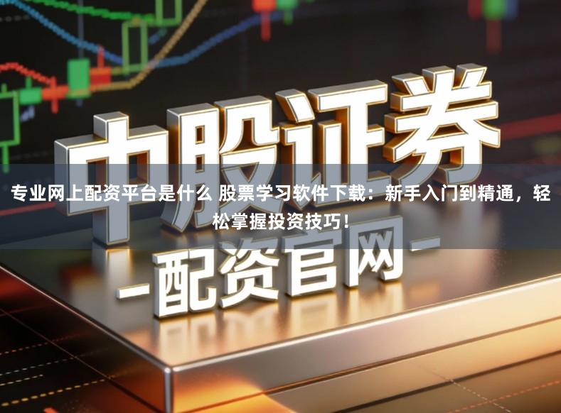 专业网上配资平台是什么 股票学习软件下载：新手入门到精通，轻松掌握投资技巧！