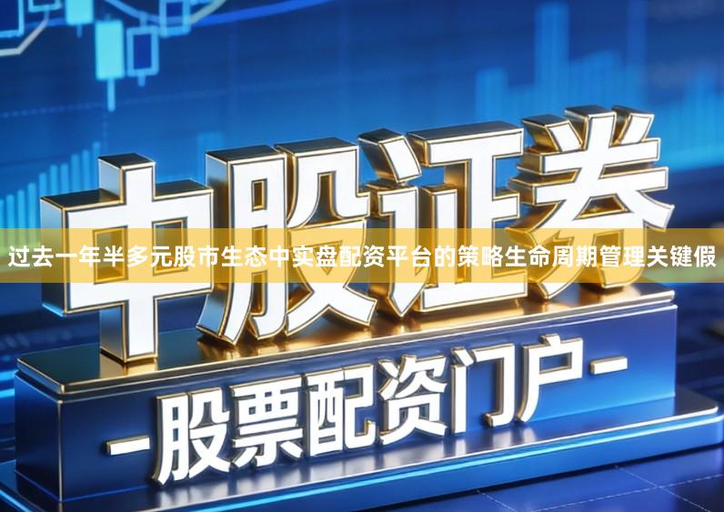 过去一年半多元股市生态中实盘配资平台的策略生命周期管理关键假