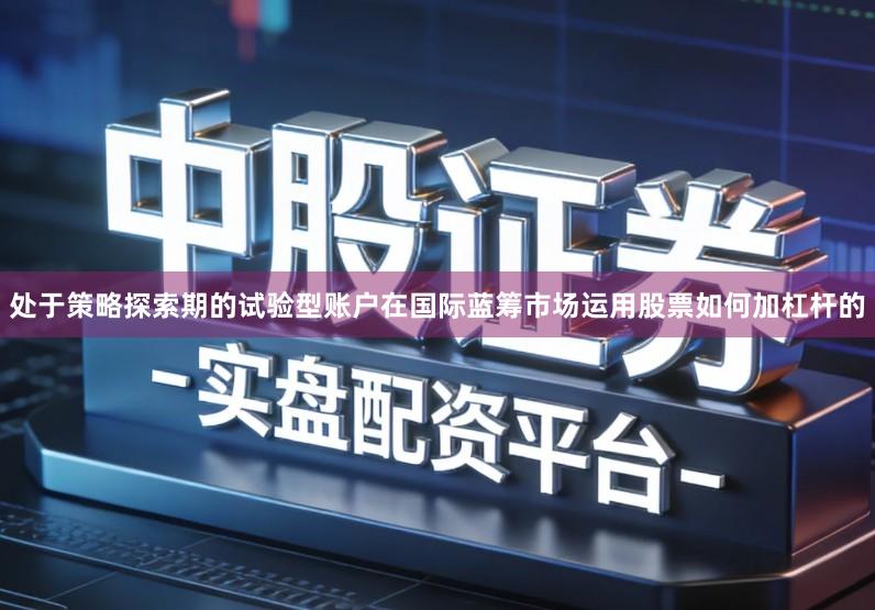 处于策略探索期的试验型账户在国际蓝筹市场运用股票如何加杠杆的