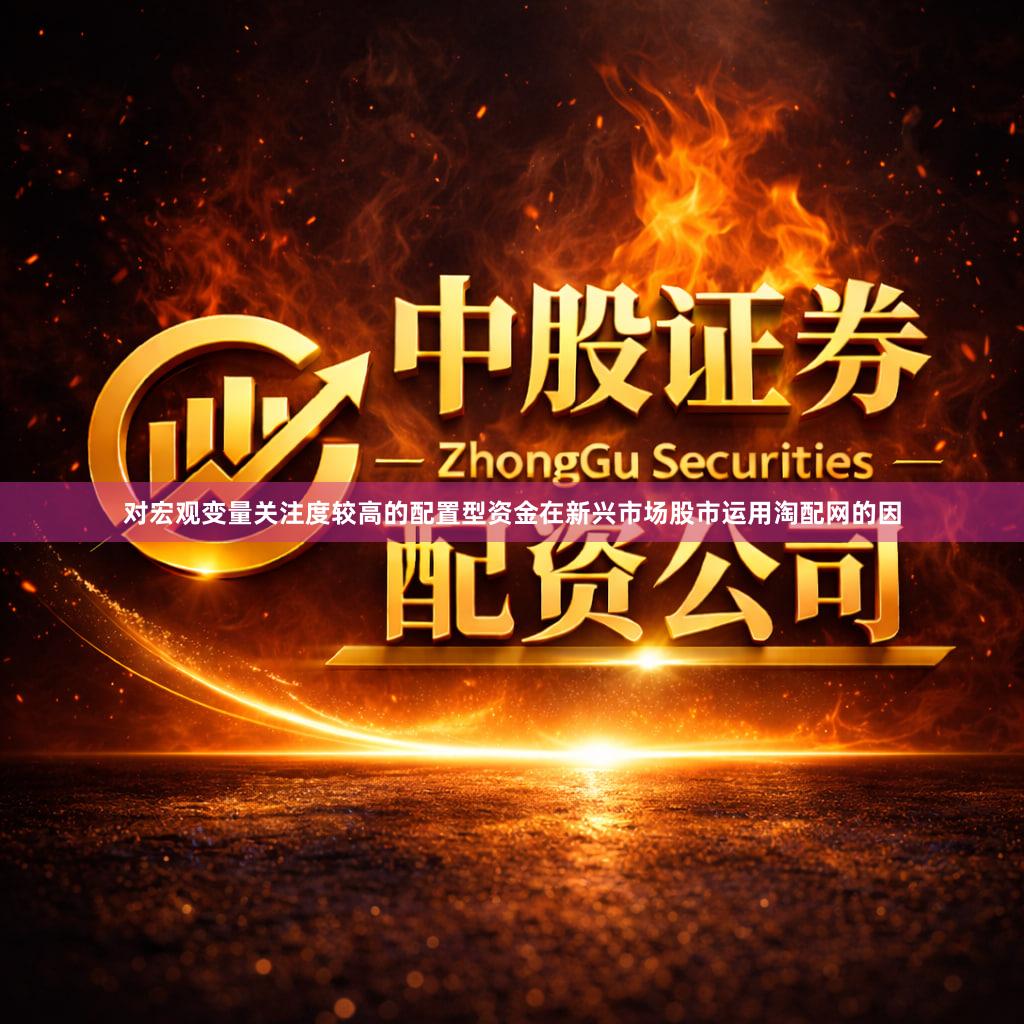 对宏观变量关注度较高的配置型资金在新兴市场股市运用淘配网的因