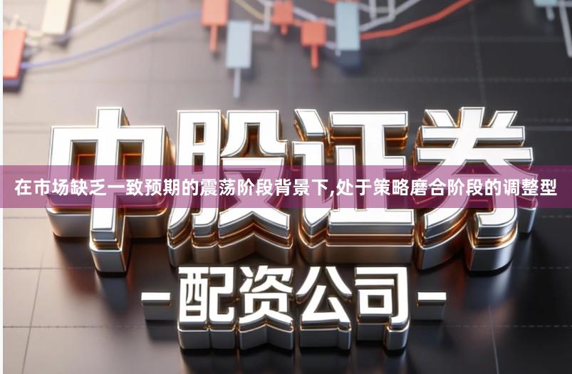 在市场缺乏一致预期的震荡阶段背景下,处于策略磨合阶段的调整型